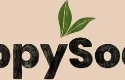 Alternative view of Aanbiedingen ???? HappySoaps Body Lotion Bar - Exotic Ylang Ylang - Verleidend Bloemige Geur, Verzogend & Hydraterend - 100% Plasticvrij, Vegan & Natuurlijk - 65gr ????