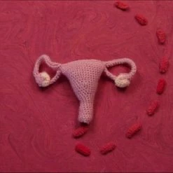 Alternative view of Goedkoop ???? Eco Femme Full Cycle Kit (wasbaar Maandverband Startset Voor Je Menstruatie) - Donker ????