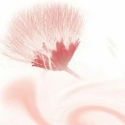 Alternative view of Goedkoopste ???? Kneipp Silky Secret - Cream & Oil Body Scrub ????