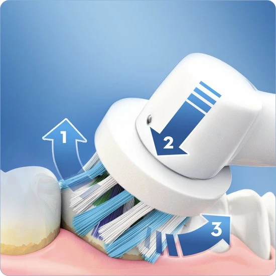 Top 10 ❤️ Oral B Oral-B Pro 600 Purple - Elektrische Tandenborstel ⌛ 9 Top 10 ❤️ Oral B Oral-B Pro 600 Purple - Elektrische Tandenborstel ⌛ - Afbeelding 7