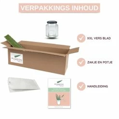 Goedkoopste ???? Dr. Green® 1x- Aloë Vera Blad - MAAK GEL IN 3 MINUTEN - 100% Puur - Biologisch ???? 26 Goedkoopste ???? Dr. Green® 1x- Aloë Vera Blad - MAAK GEL IN 3 MINUTEN - 100% Puur - Biologisch ???? -La Roche Shop 550x550 904